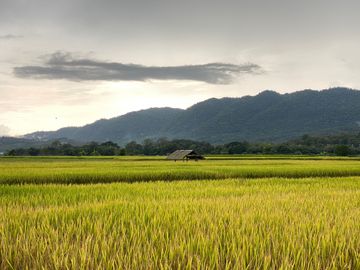 A 4-bed home for sale in Long Khot Valley, Chiang Mai