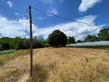 5 rai by the Ping River for sale in San Sai, Chiang Mai