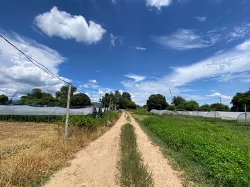 5 rai by the Ping River for sale in San Sai, Chiang Mai