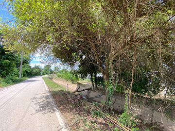 5 rai by the Ping River for sale in San Sai, Chiang Mai