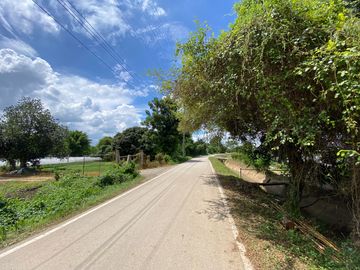 5 rai by the Ping River for sale in San Sai, Chiang Mai