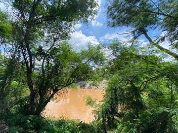 5 rai by the Ping River for sale in San Sai, Chiang Mai