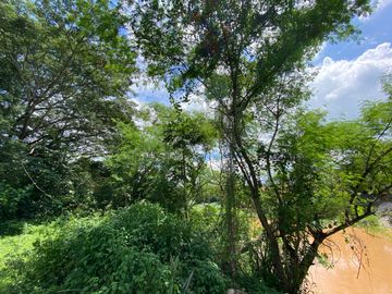 5 rai by the Ping River for sale in San Sai, Chiang Mai