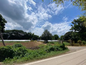 5 rai by the Ping River for sale in San Sai, Chiang Mai