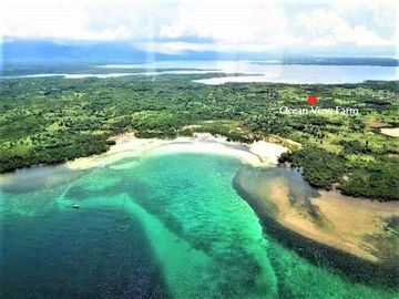 Coastal Living at It's Best in Palawan Philippines-Pending Sale