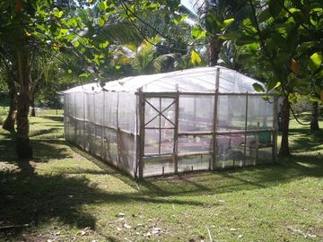 Coastal Living at It's Best in Palawan Philippines-Pending Sale