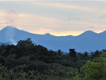 Coastal Living at It's Best in Palawan Philippines-Pending Sale