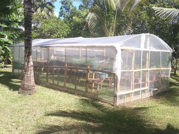 Coastal Living at It's Best in Palawan Philippines-Pending Sale