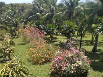 Coastal Living at It's Best in Palawan Philippines-Pending Sale