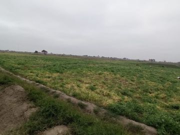 VENTA DE TERRENOS AGRÍCOLAS DE 1.2 HA (5 TERRENOS)