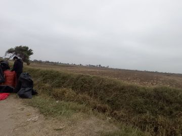 VENTA DE TERRENOS AGRÍCOLAS DE 1.2 HA (5 TERRENOS)