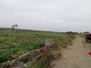 VENTA DE TERRENOS AGRÍCOLAS DE 1.2 HA (5 TERRENOS)