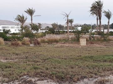 REMATO terreno de 344 metros en Condominio Oasis de Paracas USD 110,000 Negociables.