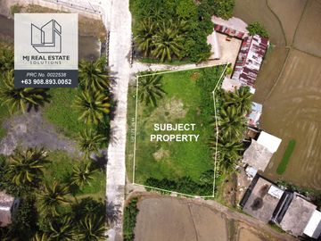 693 sqm Residential Lot for Sale in Bulusan Sorsogon