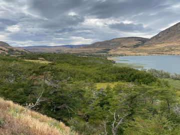 Parcelas en venta en Puerto Natales, Laguna Sofía - Magallanes