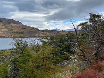 Parcelas en venta en Puerto Natales, Laguna Sofía - Magallanes