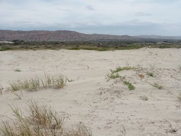 Terreno de Playa en Zorritos, Bocapan, 246 m2 (+ 900 de Posesión al frente)
