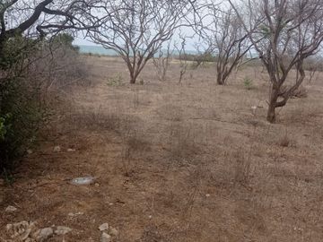 Terreno de Playa en Zorritos, Bocapan, 246 m2 (+ 900 de Posesión al frente)