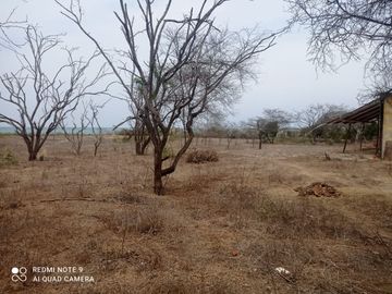 Terreno de Playa en Zorritos, Bocapan, 246 m2 (+ 900 de Posesión al frente)