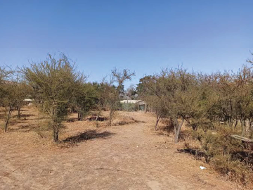 🏜Leon Propiedades vende parcela en sector Alhue, Curacavi🏜