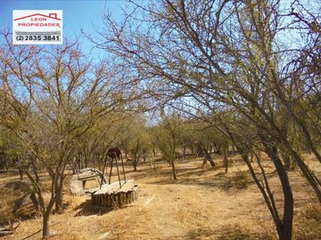 🏜Leon Propiedades vende parcela en sector Alhue, Curacavi🏜