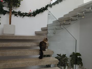 Hermosa casa Moderna tipo Minimalista en el Valle de los Chillos