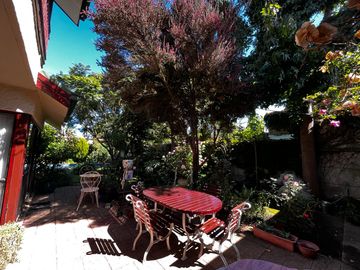 Bosques de Montemar
