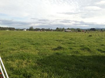 Hermosas Parcelas cercanas a Los Lagos