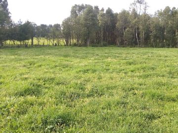Hermosas Parcelas cercanas a Los Lagos