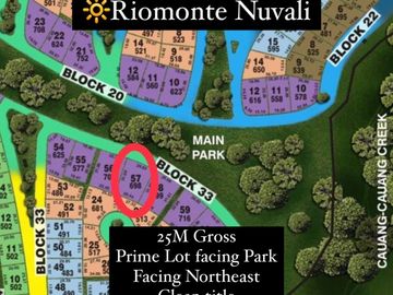 🔆Riomonte Lot For Sale | Nuvali Ayala Land Premier | Neighborhood 2 - Block 33 Lot 57