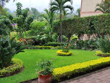 Departamento en PB, 149 m2, 2 albercas, jardines, palapa, Fraccionamiento   Junto al Rio Temixco, Mor.