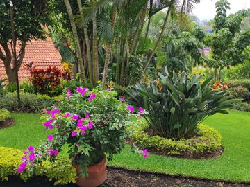 Departamento en PB, 149 m2, 2 albercas, jardines, palapa, Fraccionamiento   Junto al Rio Temixco, Mor.