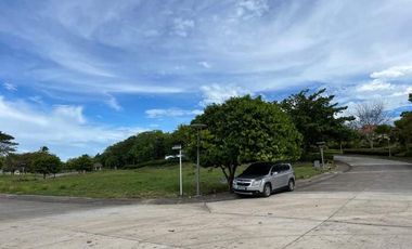 LOT FOR SALE IN AMARA SUBDIVISION, LILO-AN CEBU. RESIDENTIAL WATERFRONT COMMUNITY.