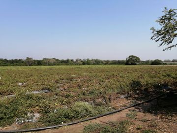 Hectáreas en Venta Veracruz cuenta con 2 bodegas. Loc. El Pando, Veracruz.