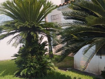 EN VENTA CASA CON 3 RECAMRAS UNA EN PLANTA BAJA, EN EL CLUB DE GOLF VILLA RICA, EN LA RIVIERA VERACRUZANA