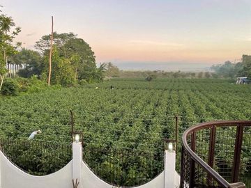 House & Lot Property for Sale @San Pablo City, Laguna