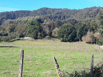 Campo  200 Hectareas ,  Panguipulli