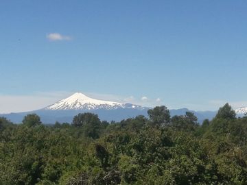 Campo  200 Hectareas ,  Panguipulli