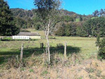 Campo  200 Hectareas ,  Panguipulli
