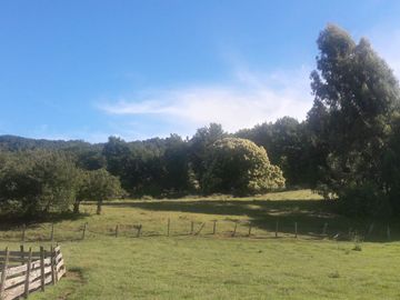 Campo  200 Hectareas ,  Panguipulli