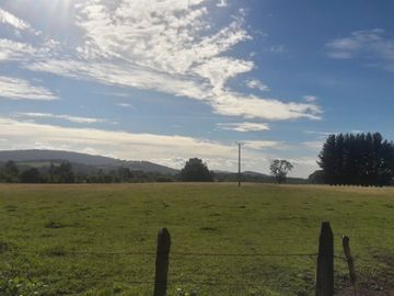Campo  200 Hectareas ,  Panguipulli