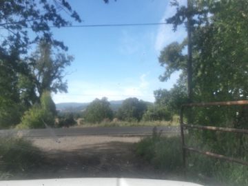 Campo  200 Hectareas ,  Panguipulli