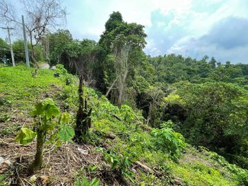 LOT FOR SALE IN MARIA LUISA-BANILAD, CEBU CITY WITH LUSH MOUNTAIN VIEW.
