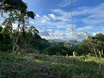 LOT FOR SALE IN MARIA LUISA-BANILAD, CEBU CITY WITH LUSH MOUNTAIN VIEW.