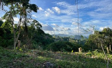 LOT FOR SALE IN MARIA LUISA-BANILAD, CEBU CITY WITH LUSH MOUNTAIN VIEW.