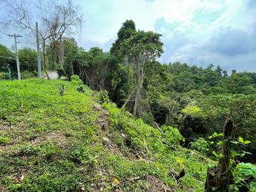 LOT FOR SALE IN MARIA LUISA-BANILAD, CEBU CITY WITH LUSH MOUNTAIN VIEW.