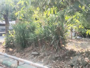 Jual Tanah di Kebomas Gresik Dekat Kawasan Industri, PT. Wilmar Nabati Indonesia