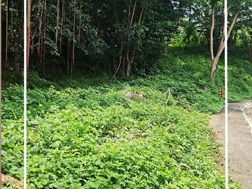 The Ranch, Timberland Heights, San Mateo, Rizal - Lot for Sale