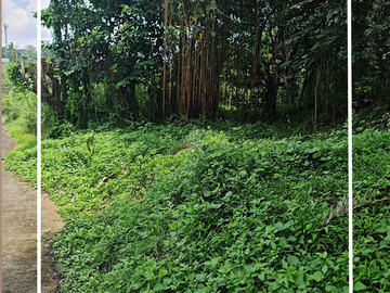The Ranch, Timberland Heights, San Mateo, Rizal - Lot for Sale