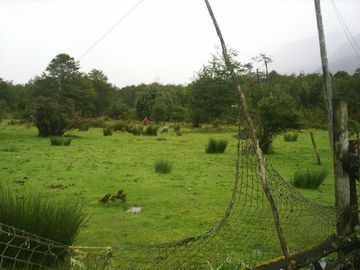 VENDO 3.869,75 HECTÁREAS,EN BAHÍA ERASMO, COMUNA DE AYSEN, REGION DE AYSEN